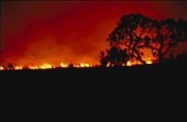 Linha de fogo