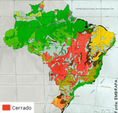 Vegetação Brasileira segundo IBGE
